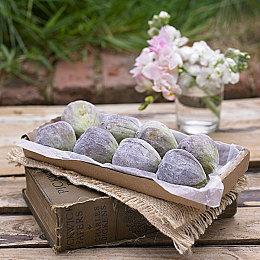 《Million Depth》steam页面上线 肉鸽探索新游